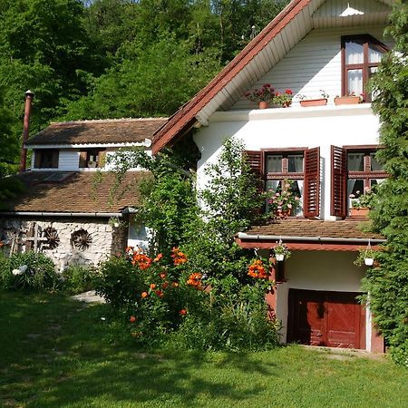 IEDERA Casa de Familii 1 Hotel Pianu de Sus Exterior foto